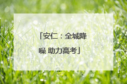 安仁：全城降噪 助力高考