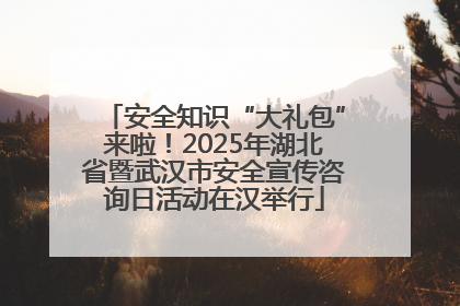 安全知识“大礼包”来啦！2025年湖北省暨武汉市安全宣传咨询日活动在汉举行