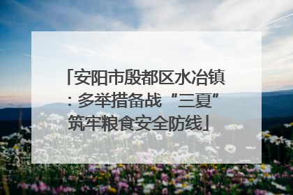 安阳市殷都区水冶镇：多举措备战“三夏” 筑牢粮食安全防线