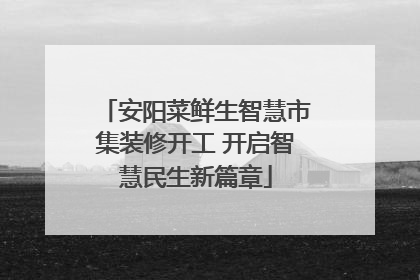 安阳菜鲜生智慧市集装修开工 开启智慧民生新篇章