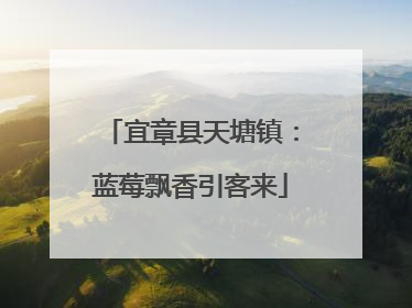 宜章县天塘镇：蓝莓飘香引客来