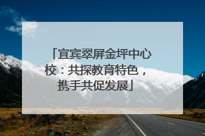 宜宾翠屏金坪中心校：共探教育特色，携手共促发展