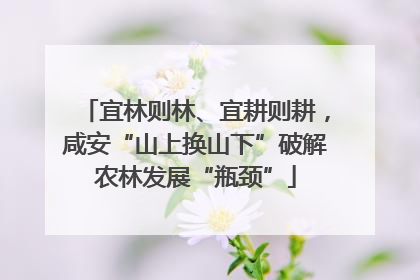 宜林则林、宜耕则耕，咸安“山上换山下”破解农林发展“瓶颈”
