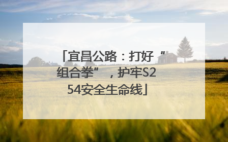 宜昌公路：打好“组合拳”，护牢S254安全生命线