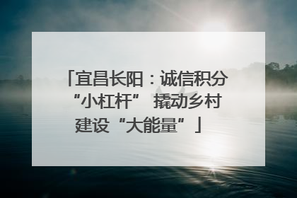 宜昌长阳：诚信积分“小杠杆” 撬动乡村建设“大能量”