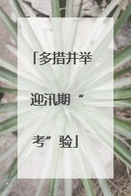 多措并举 迎汛期“考”验