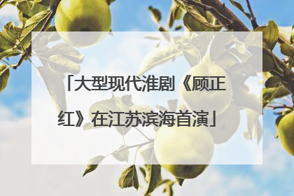 大型现代淮剧《顾正红》在江苏滨海首演