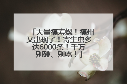 大量福寿螺！福州又出现了！寄生虫多达6000条！千万别碰、别吃！
