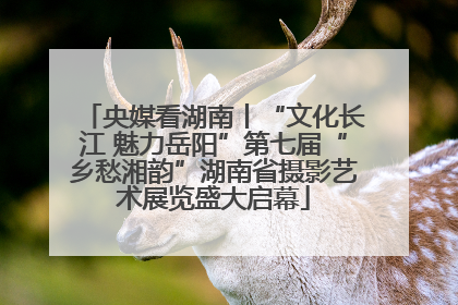 央媒看湖南丨“文化长江 魅力岳阳”第七届“乡愁湘韵”湖南省摄影艺术展览盛大启幕
