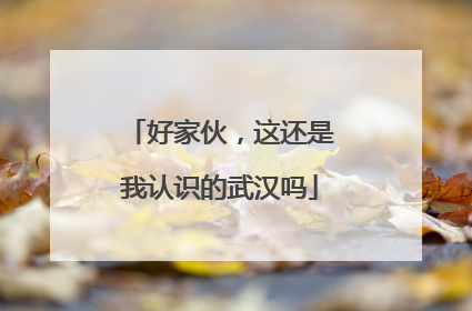 好家伙，这还是我认识的武汉吗