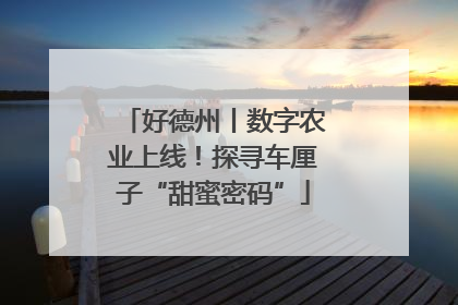 好德州丨数字农业上线！探寻车厘子“甜蜜密码”