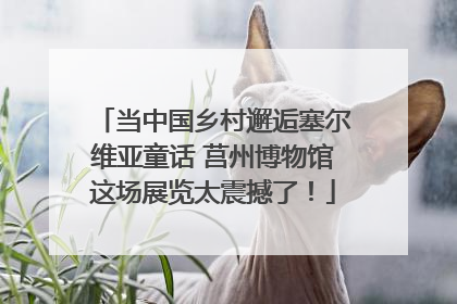 当中国乡村邂逅塞尔维亚童话 莒州博物馆这场展览太震撼了！