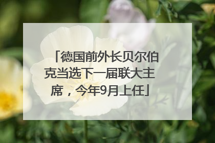 德国前外长贝尔伯克当选下一届联大主席，今年9月上任