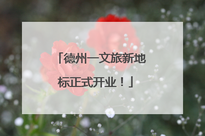 德州一文旅新地标正式开业！