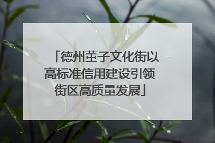 德州董子文化街以高标准信用建设引领街区高质量发展
