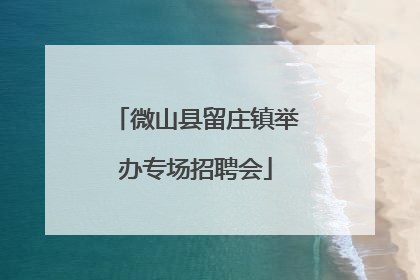 微山县留庄镇举办专场招聘会