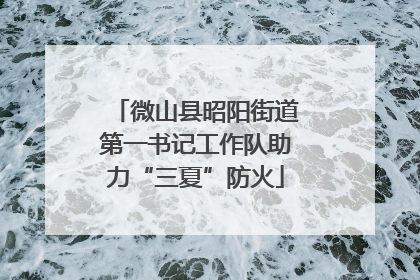 微山县昭阳街道第一书记工作队助力“三夏”防火