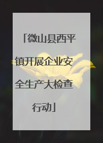 微山县西平镇开展企业安全生产大检查行动