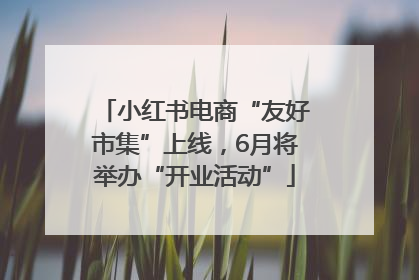 小红书电商“友好市集”上线，6月将举办“开业活动”