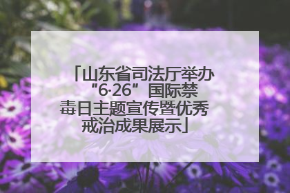 山东省司法厅举办“6·26”国际禁毒日主题宣传暨优秀戒治成果展示