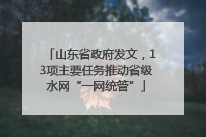 山东省政府发文，13项主要任务推动省级水网“一网统管”