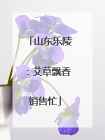 山东乐陵：艾草飘香销售忙