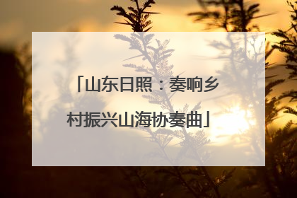 山东日照：奏响乡村振兴山海协奏曲