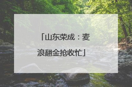 山东荣成：麦浪翻金抢收忙