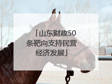 山东财政50条靶向支持民营经济发展