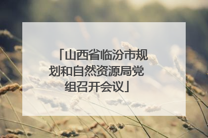 山西省临汾市规划和自然资源局党组召开会议