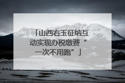山西右玉征纳互动实现办税缴费“一次不用跑”