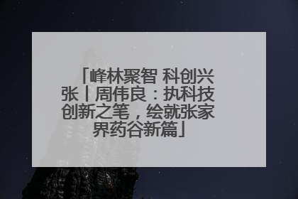 峰林聚智 科创兴张丨周伟良：执科技创新之笔，绘就张家界药谷新篇