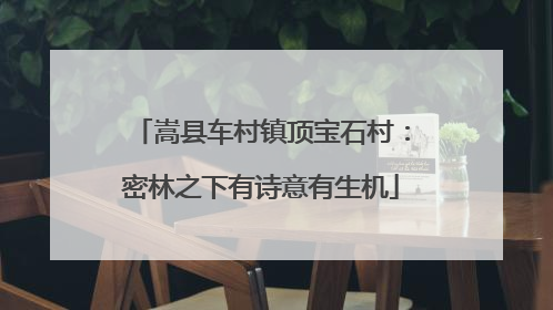 嵩县车村镇顶宝石村：密林之下有诗意有生机