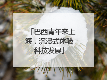 巴西青年来上海，沉浸式体验科技发展