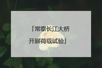 常泰长江大桥开展荷载试验