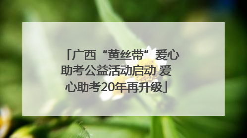 广西“黄丝带”爱心助考公益活动启动 爱心助考20年再升级