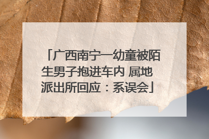 广西南宁一幼童被陌生男子抱进车内 属地派出所回应：系误会