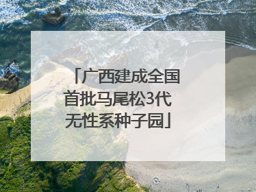 广西建成全国首批马尾松3代无性系种子园