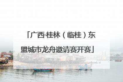 广西·桂林（临桂）东盟城市龙舟邀请赛开赛