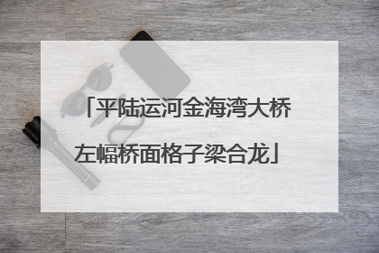 平陆运河金海湾大桥左幅桥面格子梁合龙