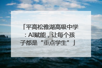 平高松雅湖高级中学：AI赋能，让每个孩子都是“重点学生”