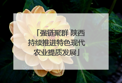 强链聚群 陕西持续推进特色现代农业提质发展