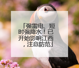 强雷电、短时强降水！已开始影响江西，注意防范