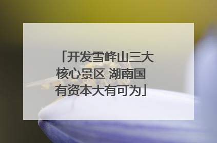 开发雪峰山三大核心景区 湖南国有资本大有可为
