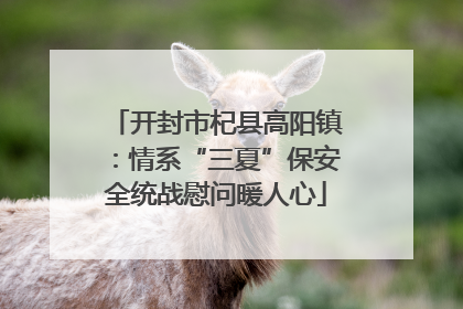 开封市杞县高阳镇：情系“三夏”保安全统战慰问暖人心