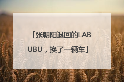张朝阳退回的LABUBU，换了一辆车
