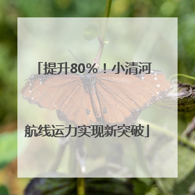 提升80％！小清河航线运力实现新突破