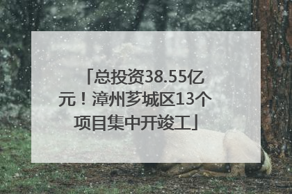 总投资38.55亿元！漳州芗城区13个项目集中开竣工