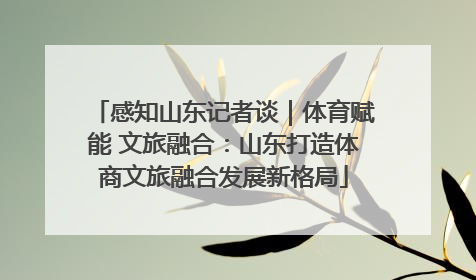 感知山东记者谈｜体育赋能 文旅融合：山东打造体商文旅融合发展新格局
