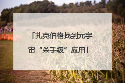 扎克伯格找到元宇宙“杀手级”应用